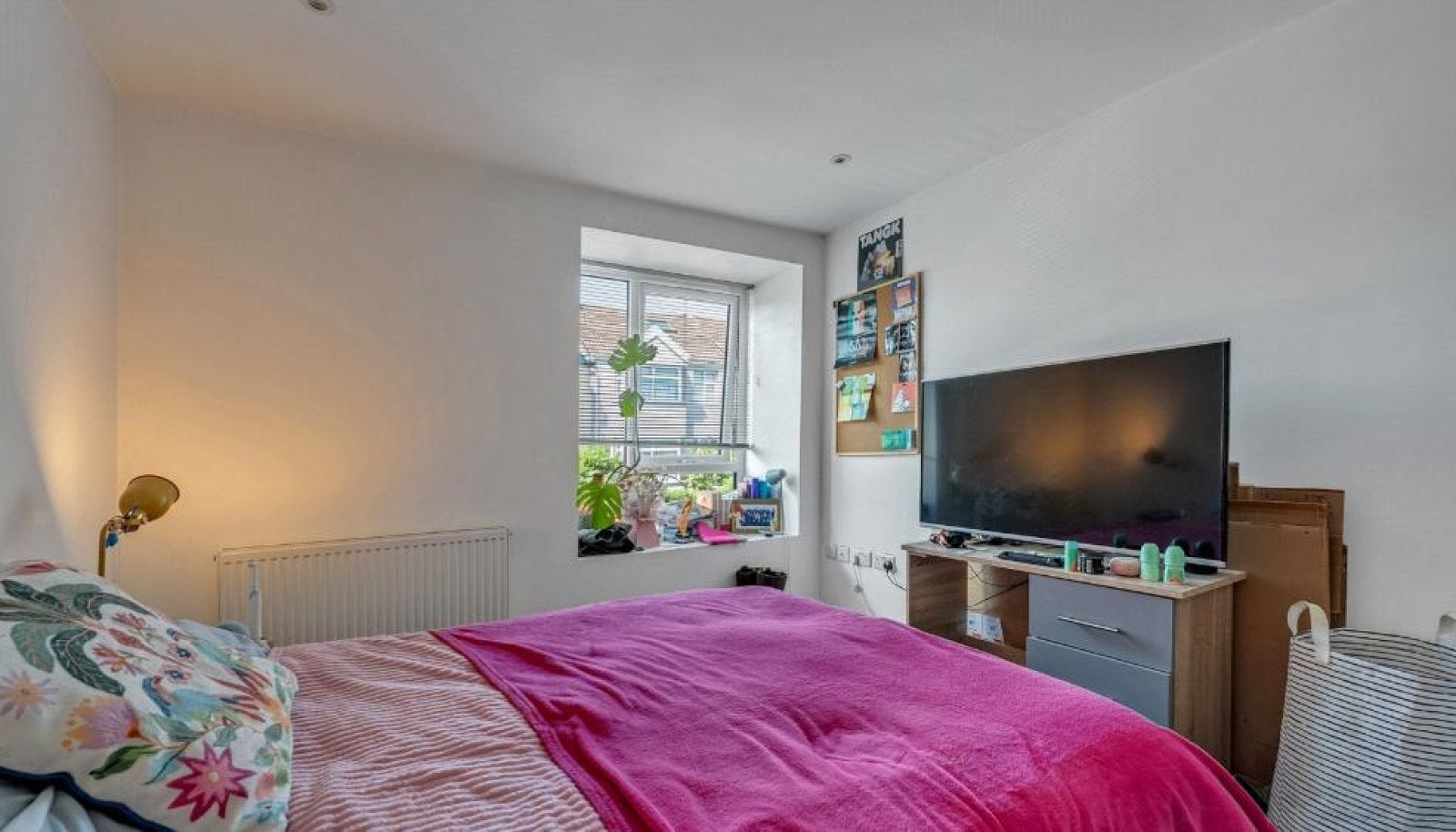 Room Filton Avenue in Bristol
