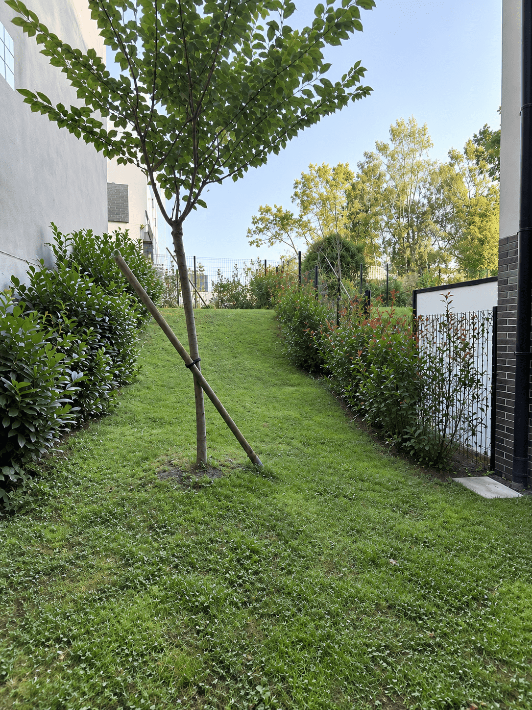 Flat Rue Hoffmann in Bourg-la-Reine
