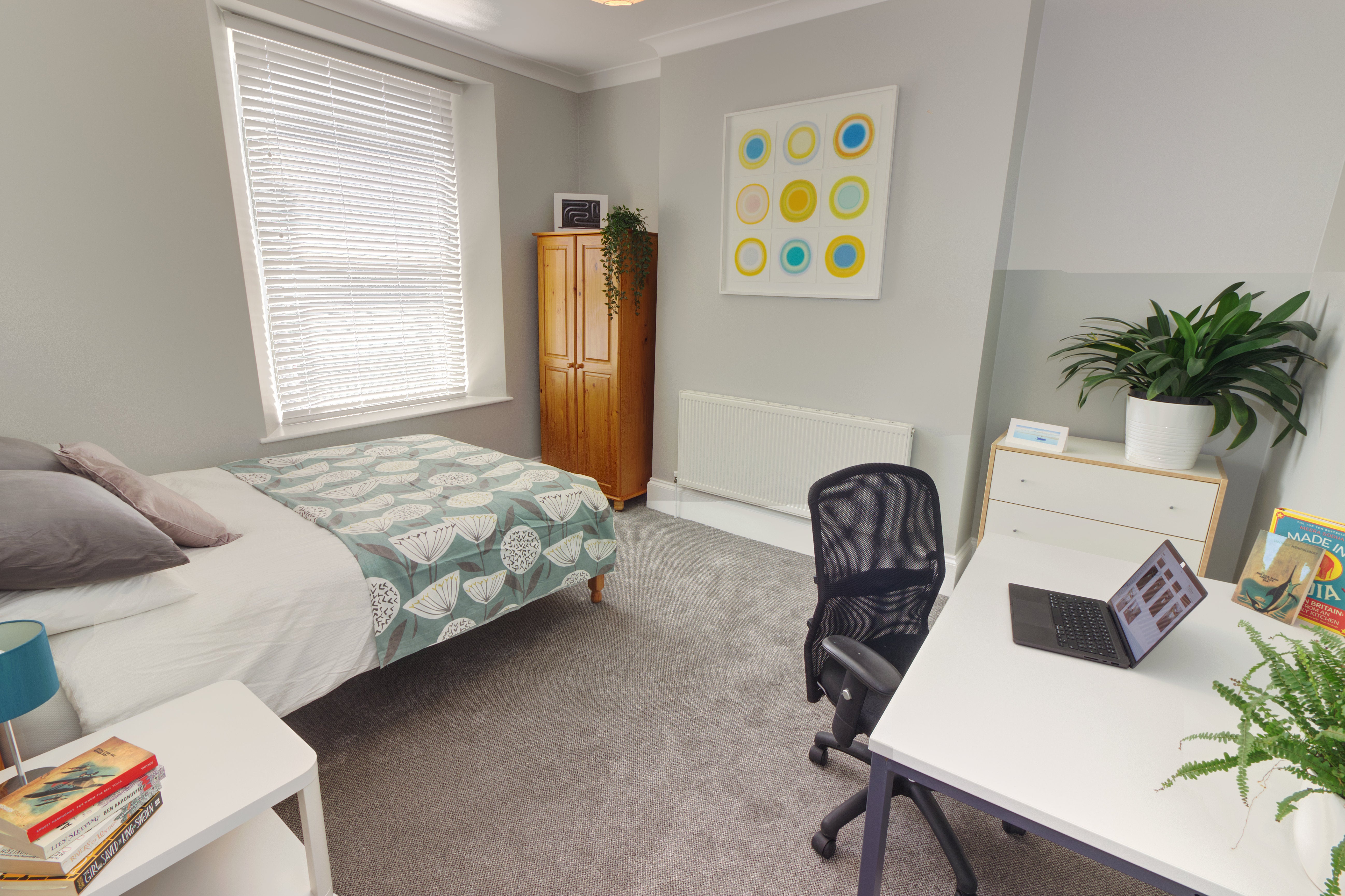 Room Alexandra Road in Plymouth