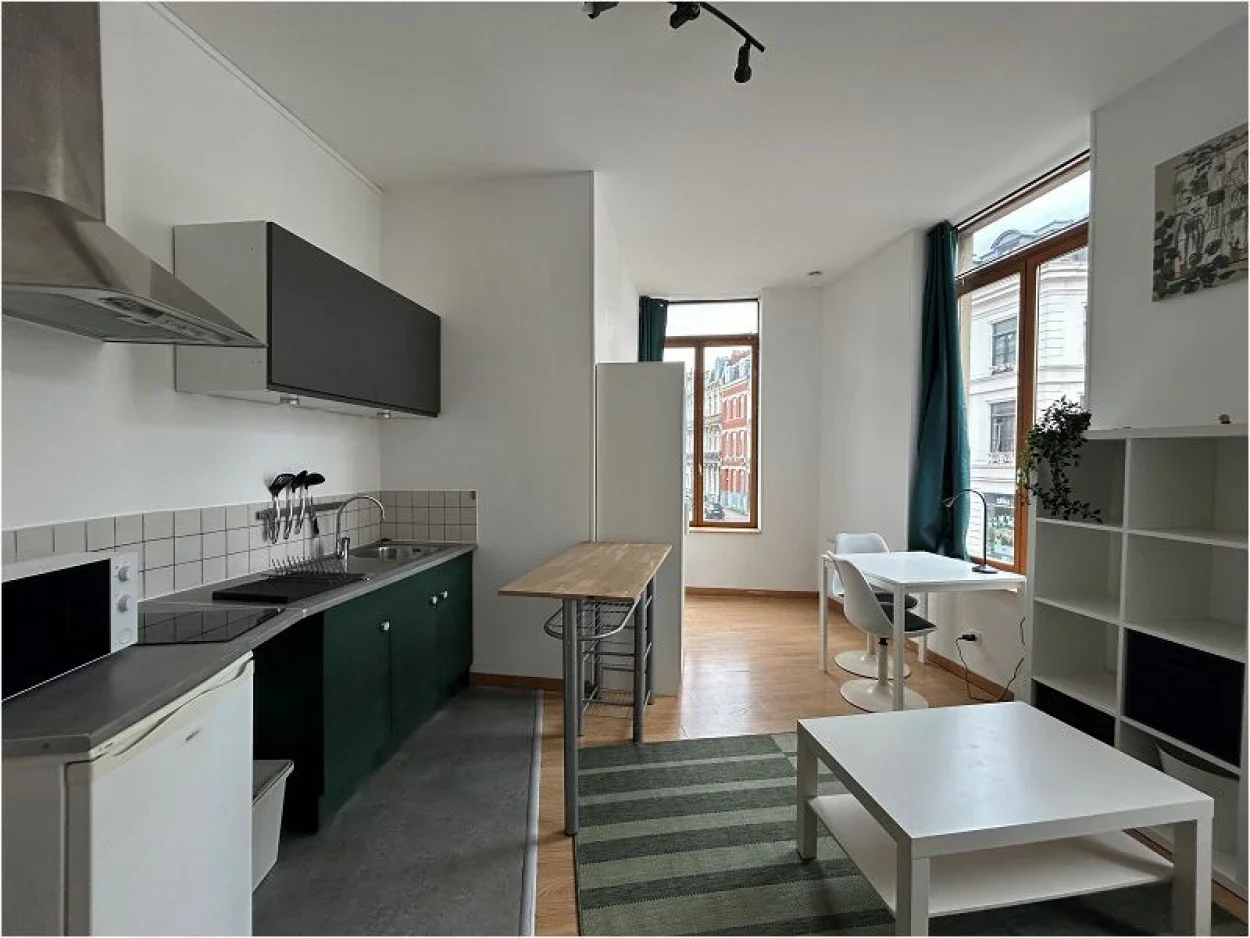 Appartement Rue Jacquemars Giélée à Lille