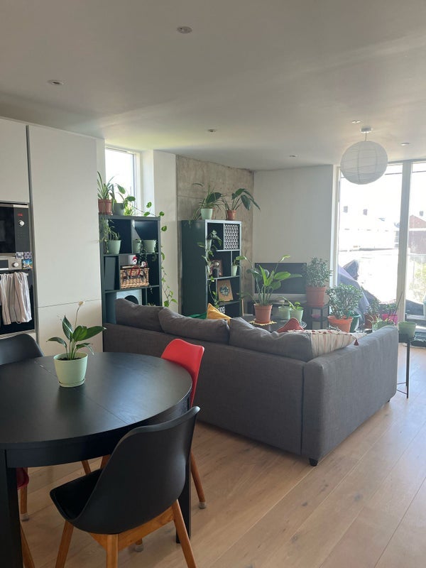 Room Daley Street in Greater London