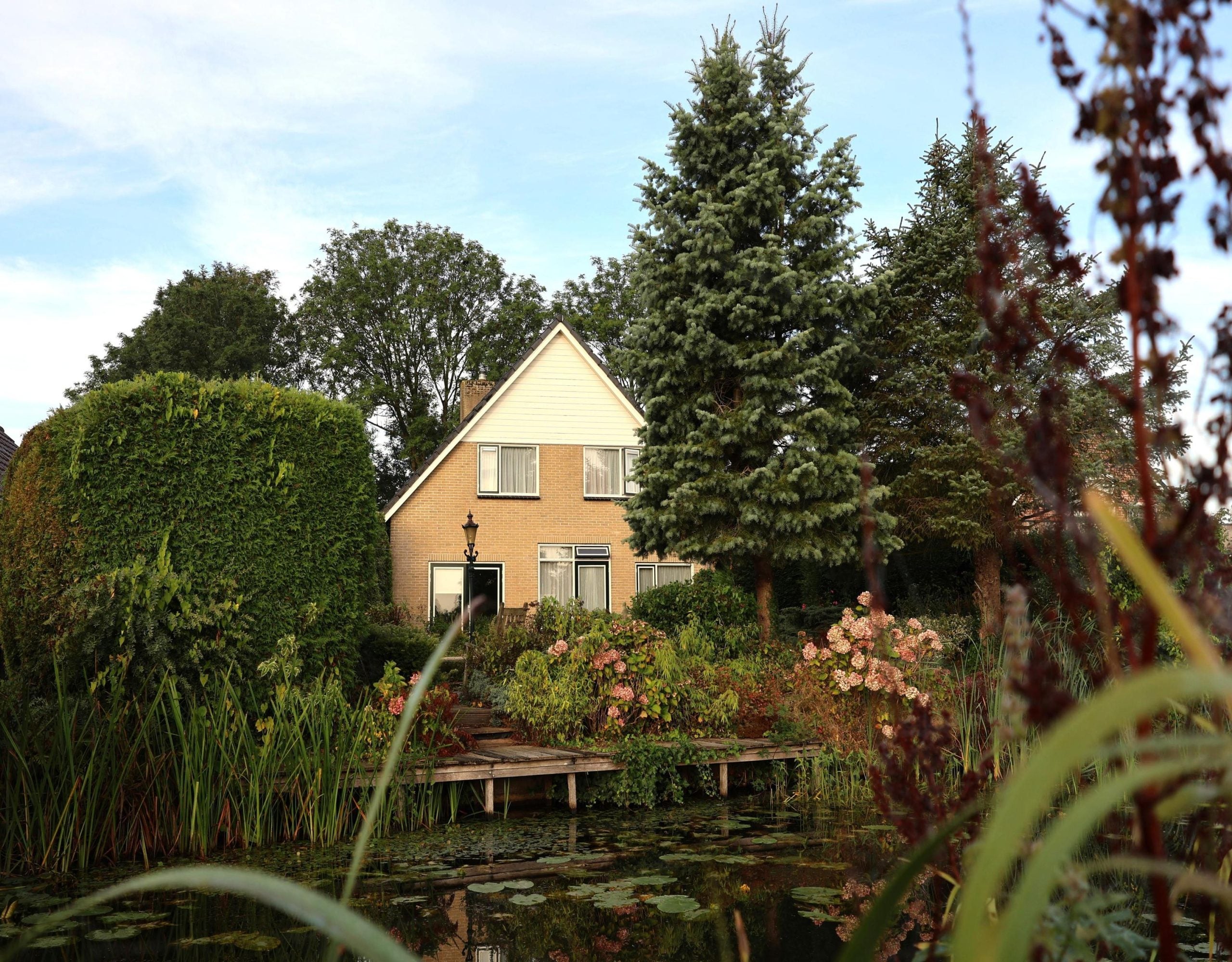 Huis De Terp 1 A in Scharnegoutum