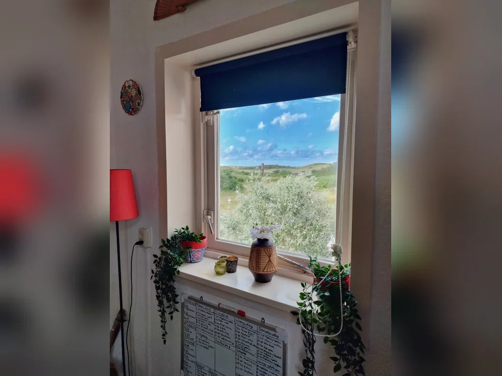 Appartement Zeezwaluwstraat 3