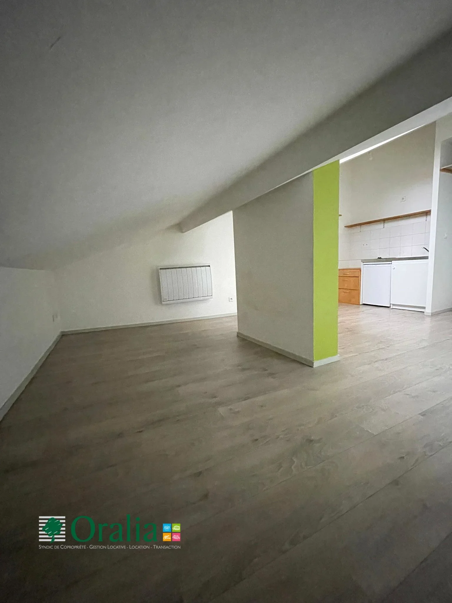 Flat Rue d'Aguesseau in Lyon