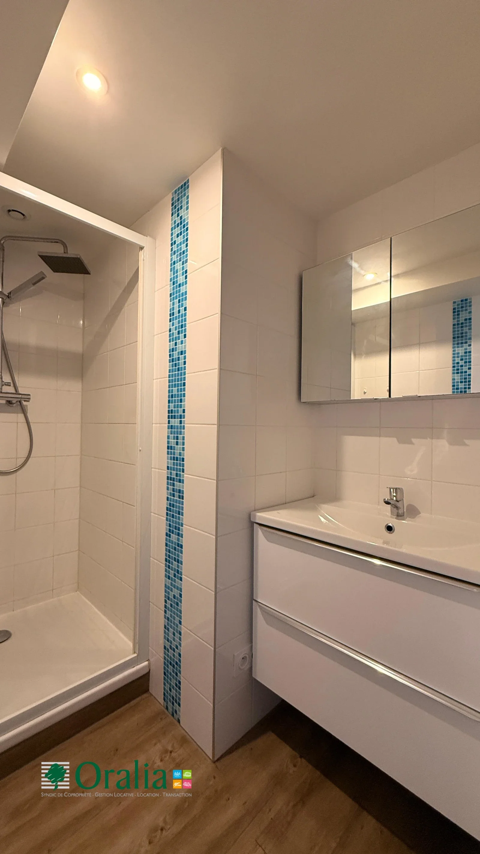 Flat Rue Gambetta in Tarare