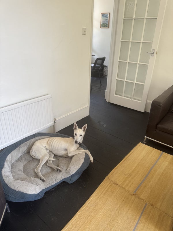Room Upper Tulse Hill in Greater London