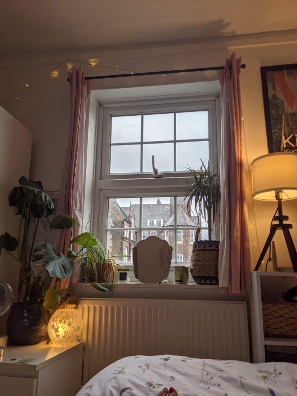 Room Detmold Road in Greater London