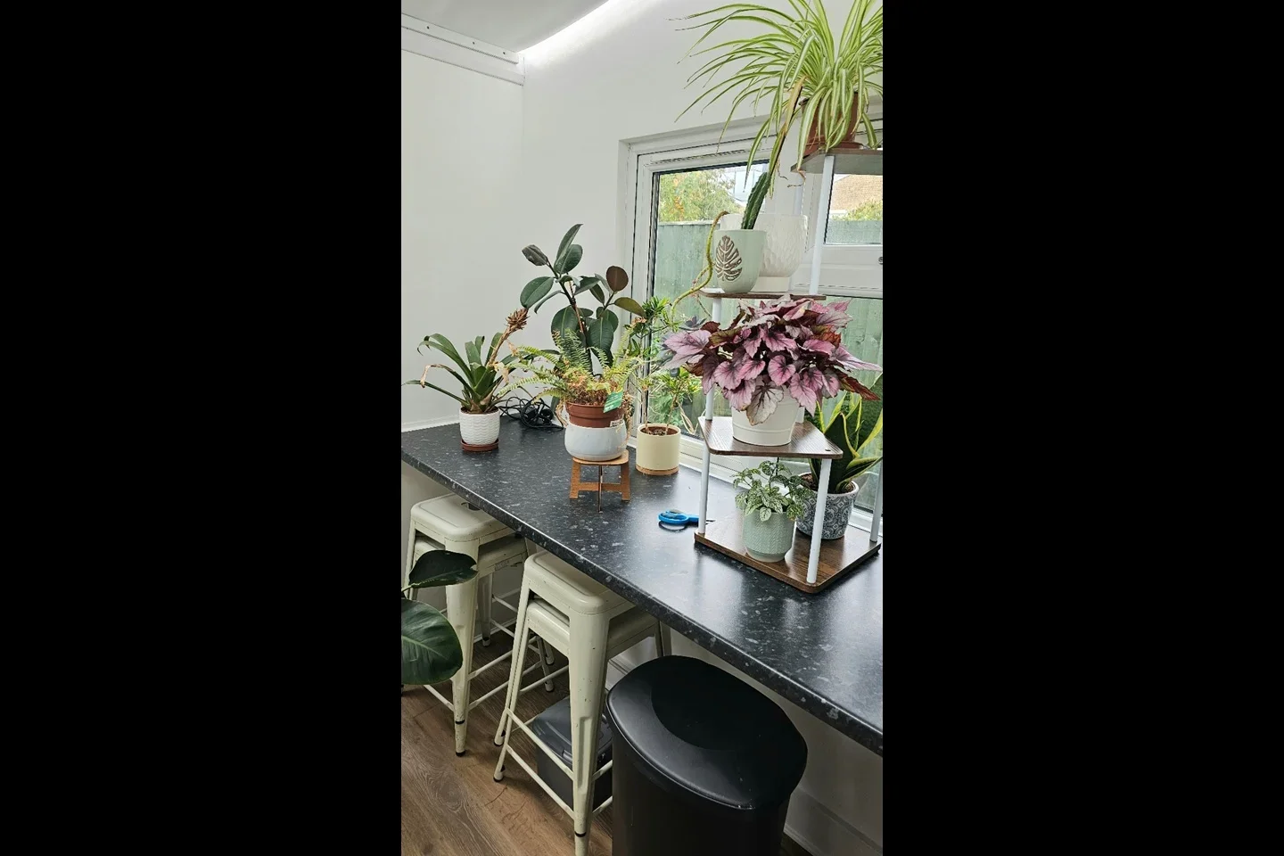 Room Thurso Street in Greater London