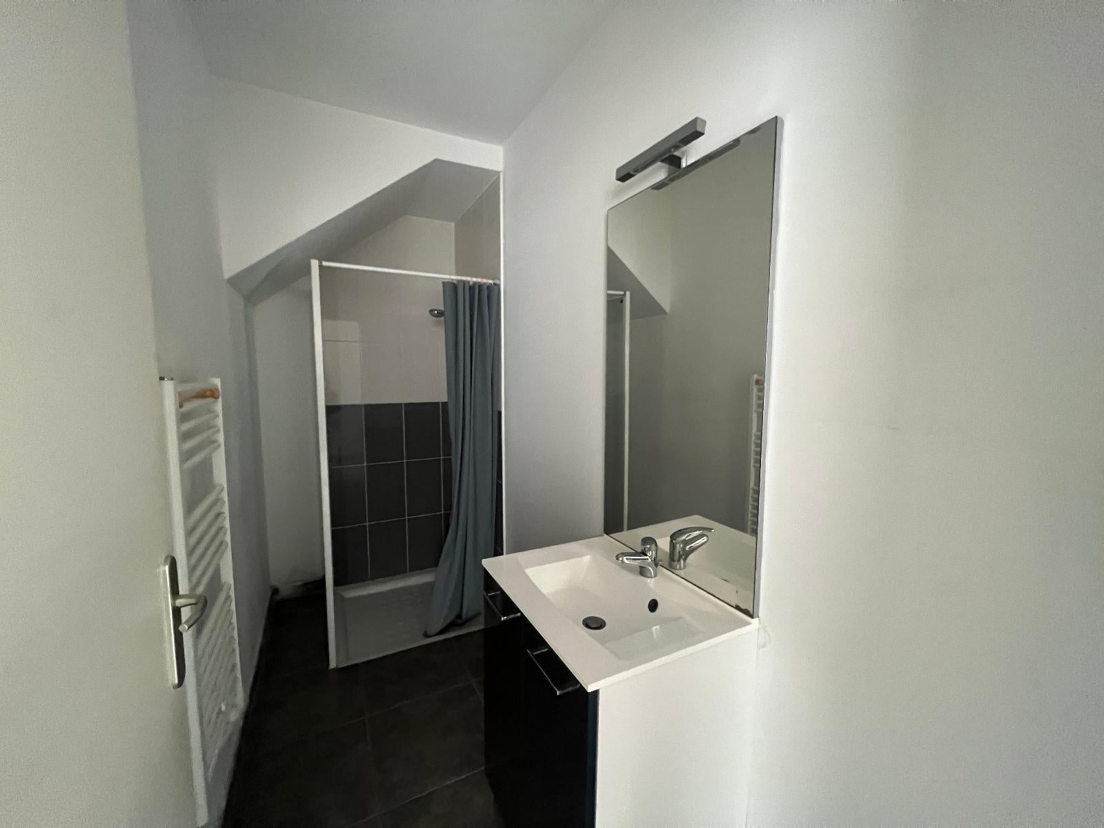 Appartement Rue Michelet à Saint-Étienne