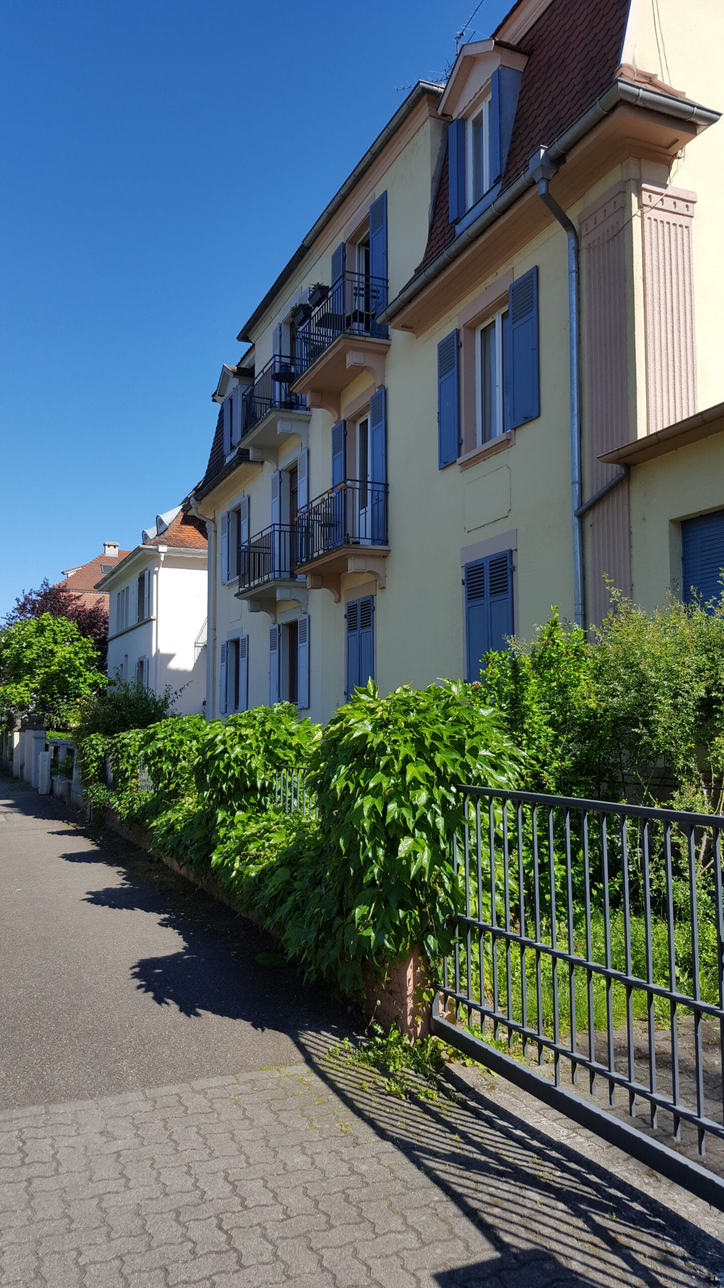 Flat Rue Boussingault in Strasbourg