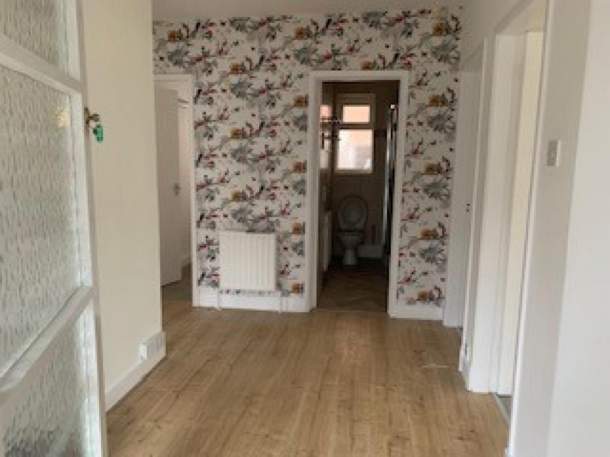 House Springfield in Derby