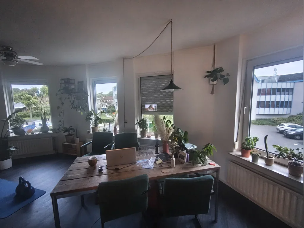 Appartement De Dorsmolen in Borne