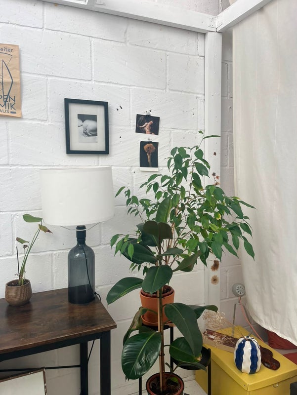 Room Dace Road in Greater London
