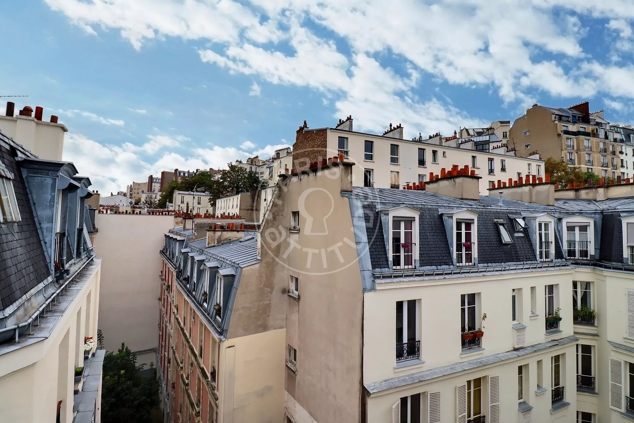 Flat Rue Lamarck in Paris