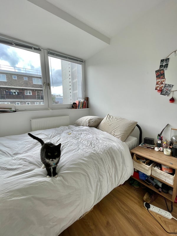 Room Hare Walk in Greater London