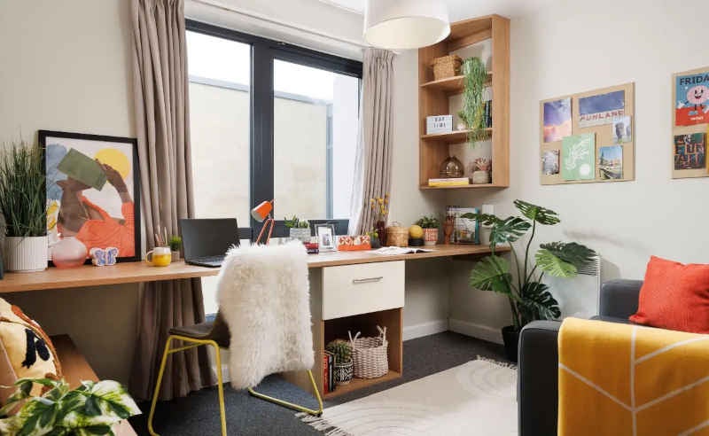 Room Chalmers Street in City of Edinburgh
