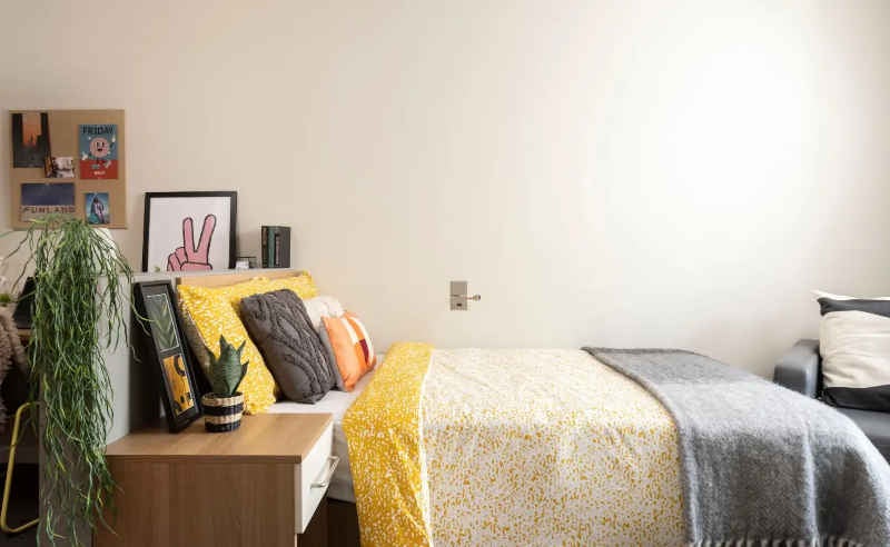 Room Chalmers Street in City of Edinburgh