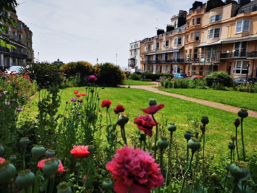 Room Western Road in Hove