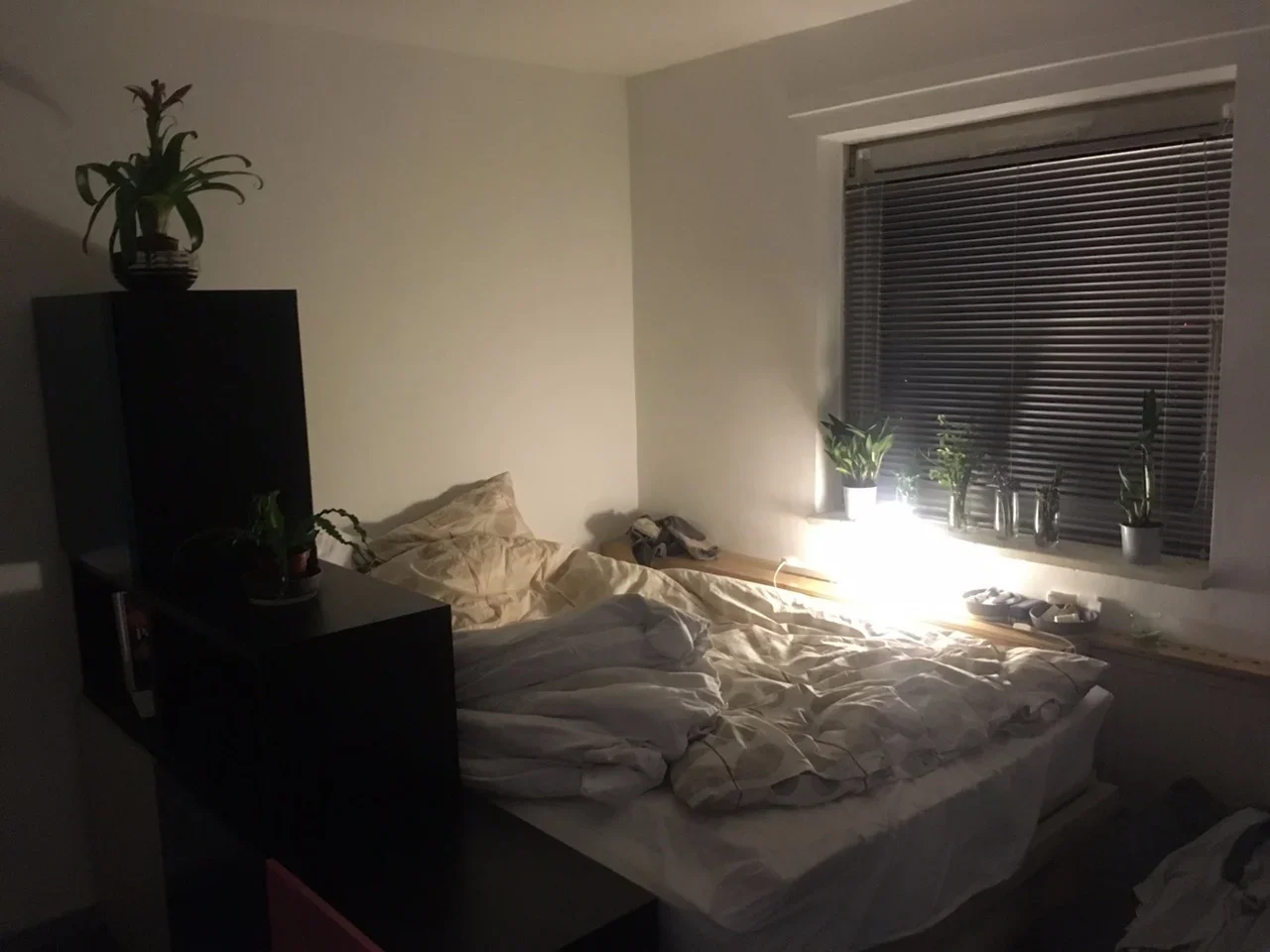 Flat Norley Vale in Greater London
