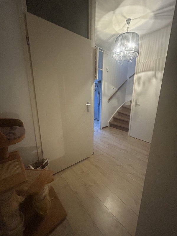 Appartement Strausslaan 11