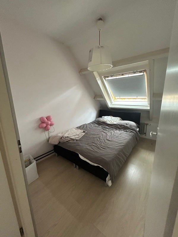 Appartement Strausslaan 5