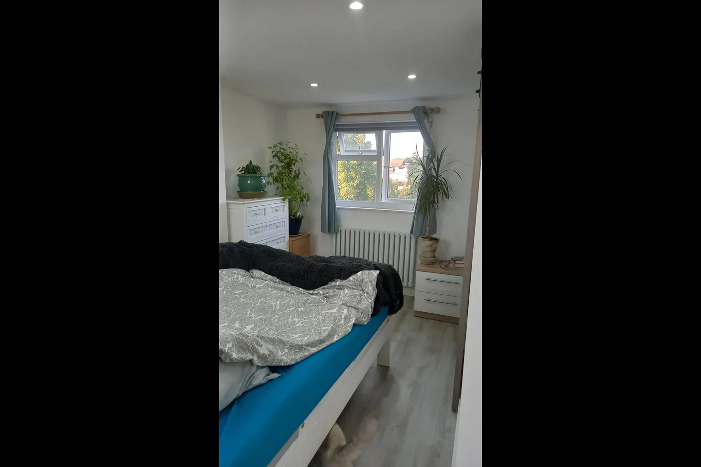 Room Guildford Road in Greater London