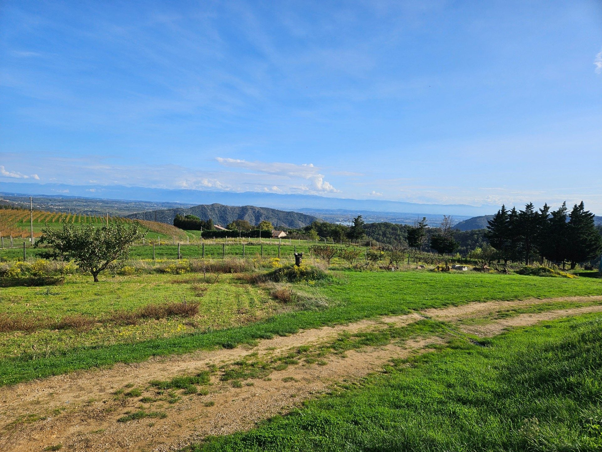 House Route de la Tuilière in Lemps
