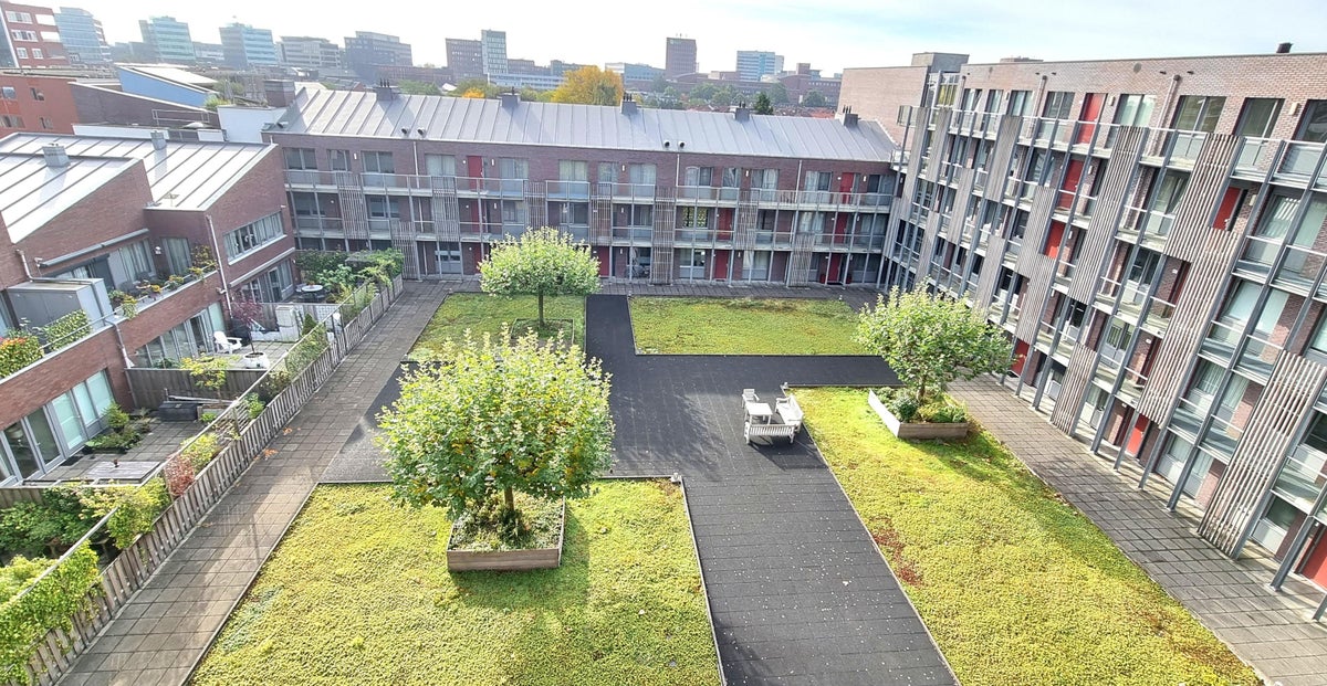 Appartement Friesestraat 13