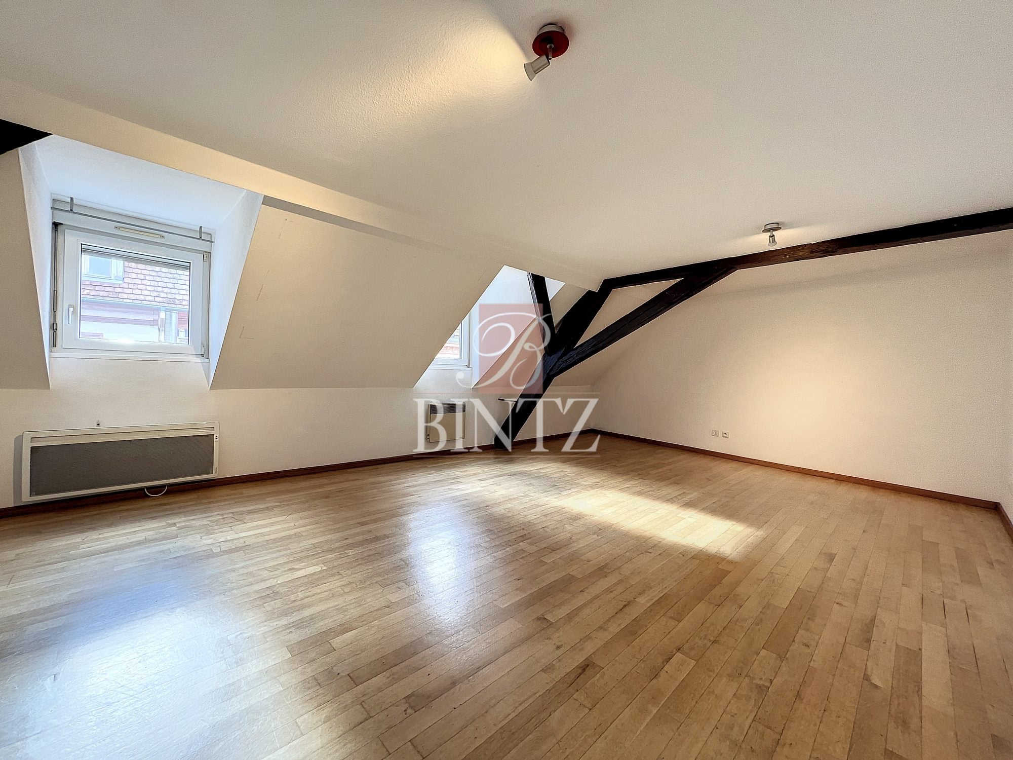 Appartement Rue Thiergarten à Strasbourg