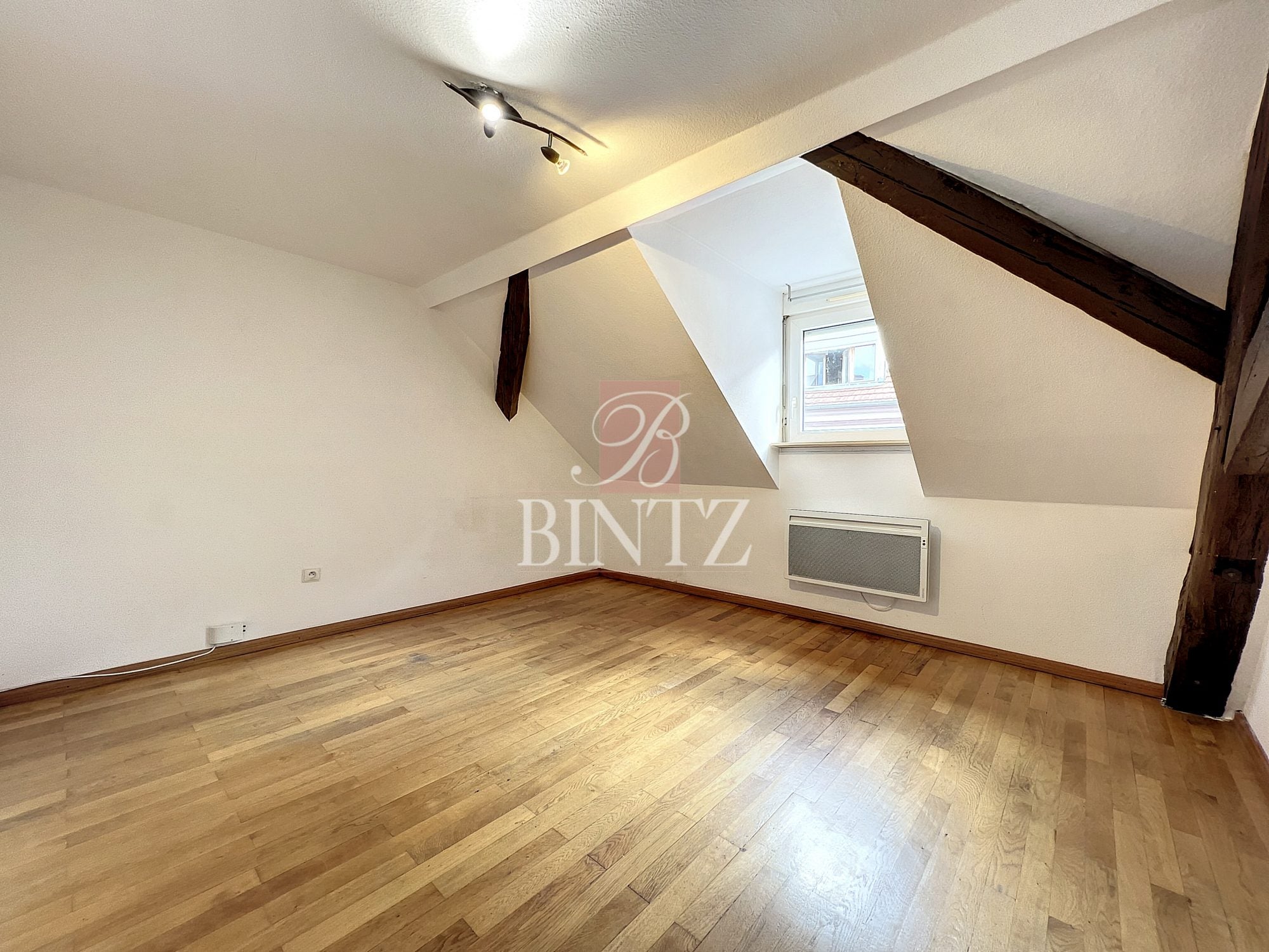 Appartement Rue Thiergarten à Strasbourg