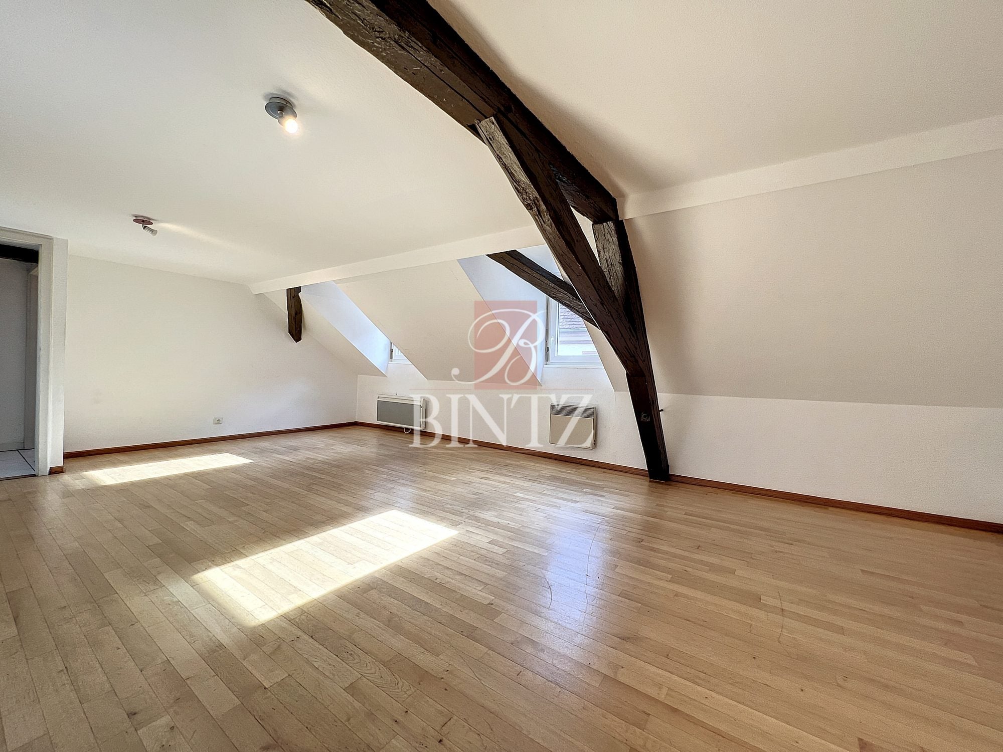 Appartement Rue Thiergarten à Strasbourg