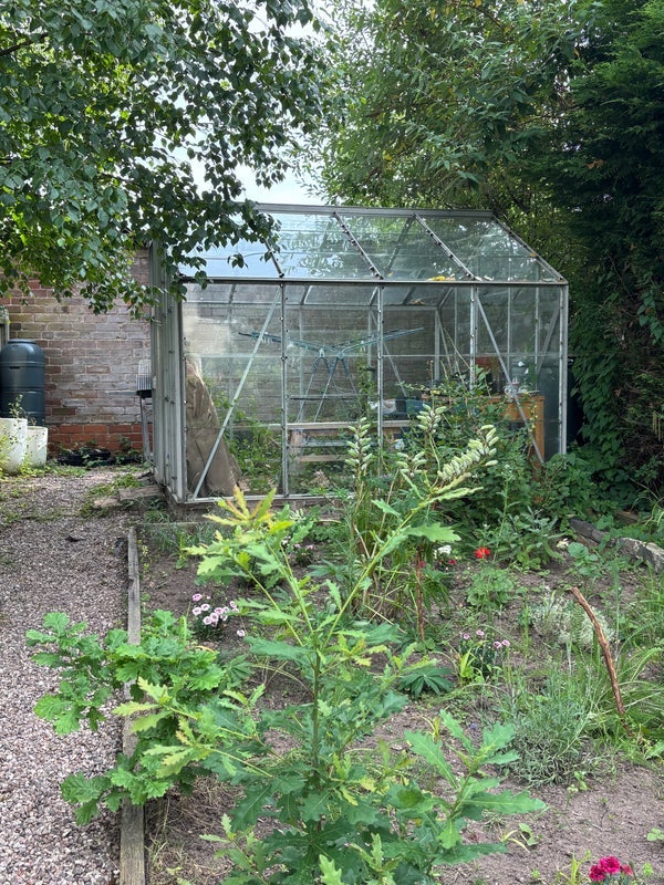 Room Seabridge Lane in Newcastle-under-Lyme