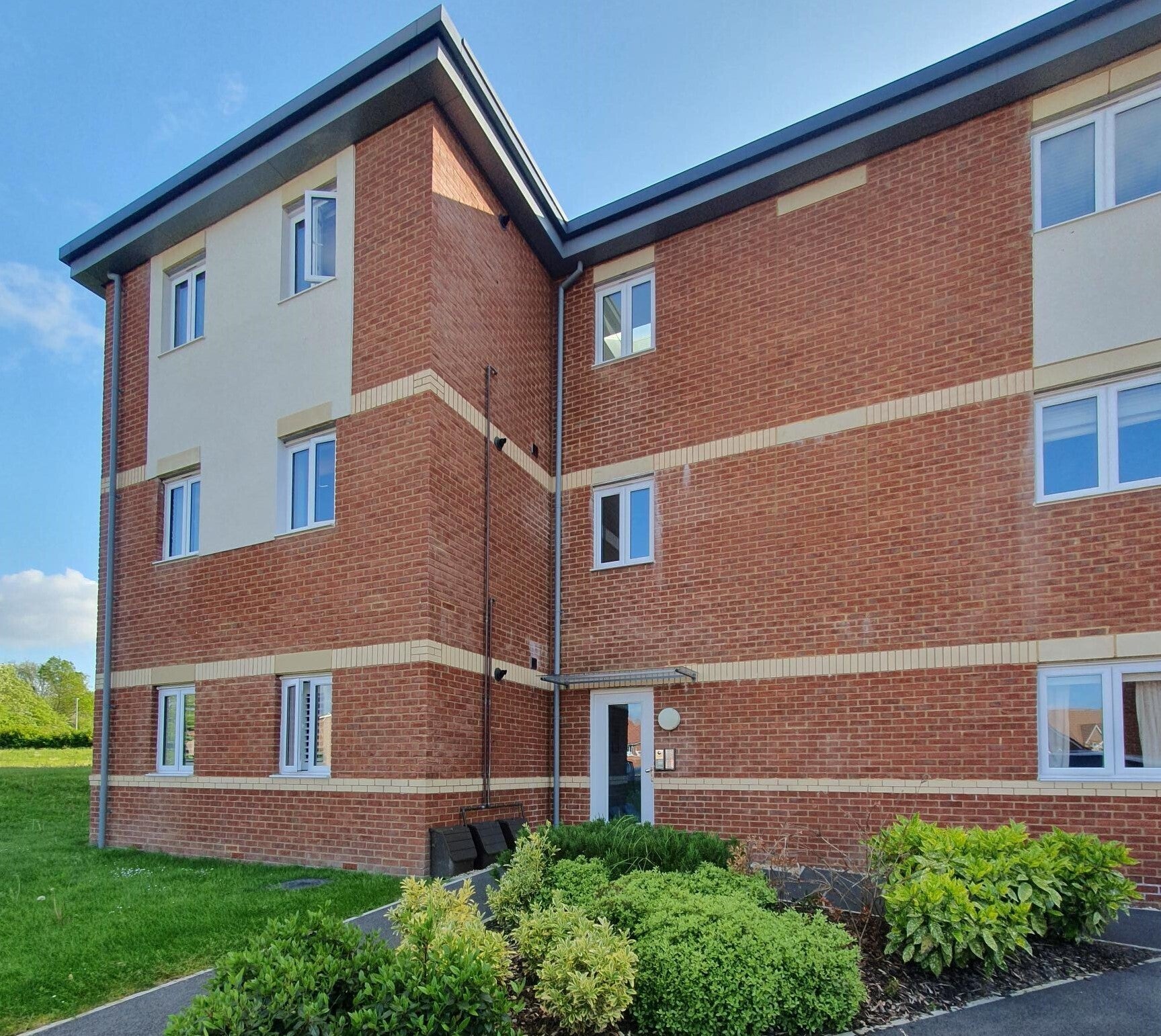 Flat Chicory Close in Teignbridge