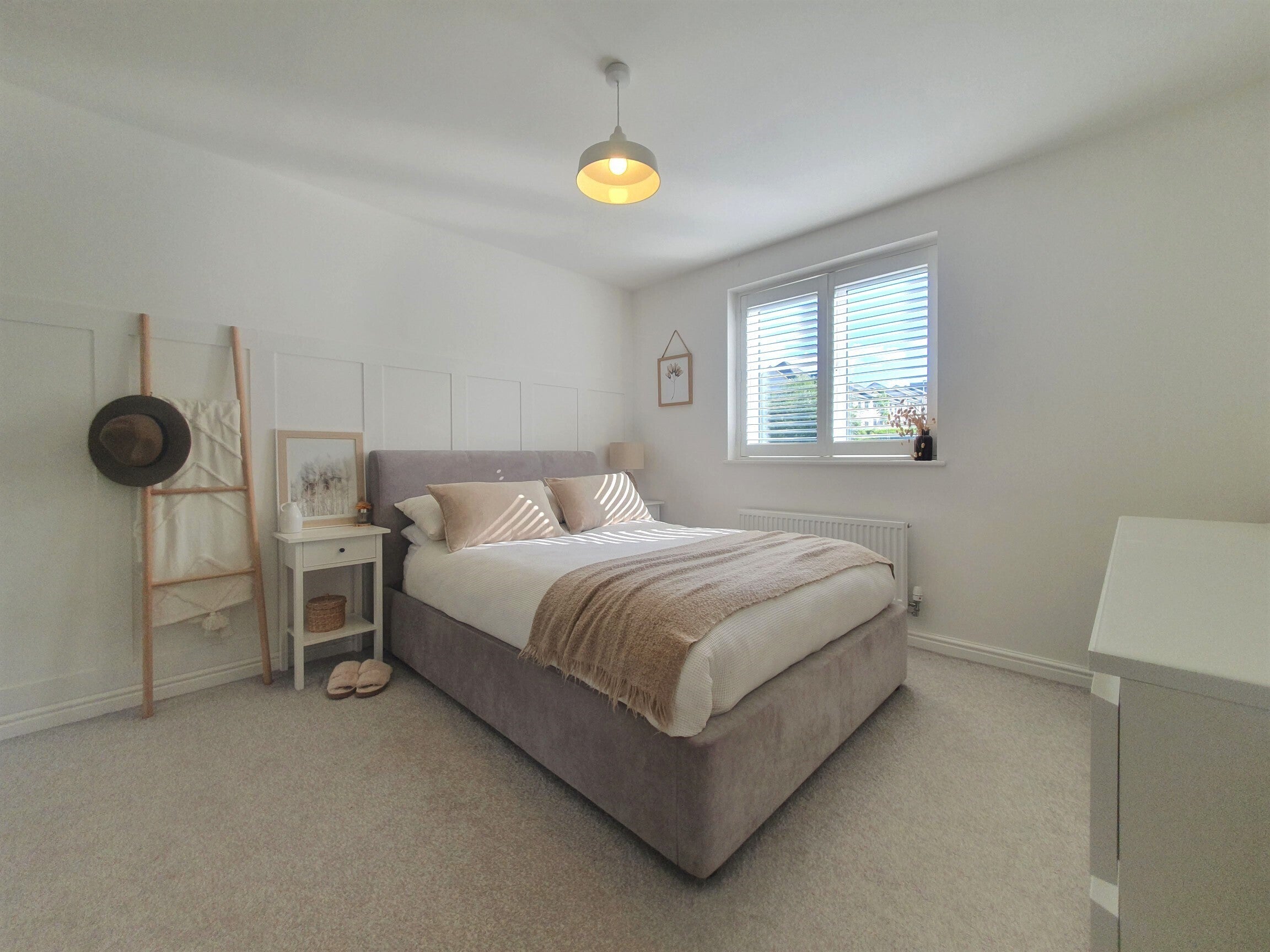 Flat Chicory Close in Teignbridge