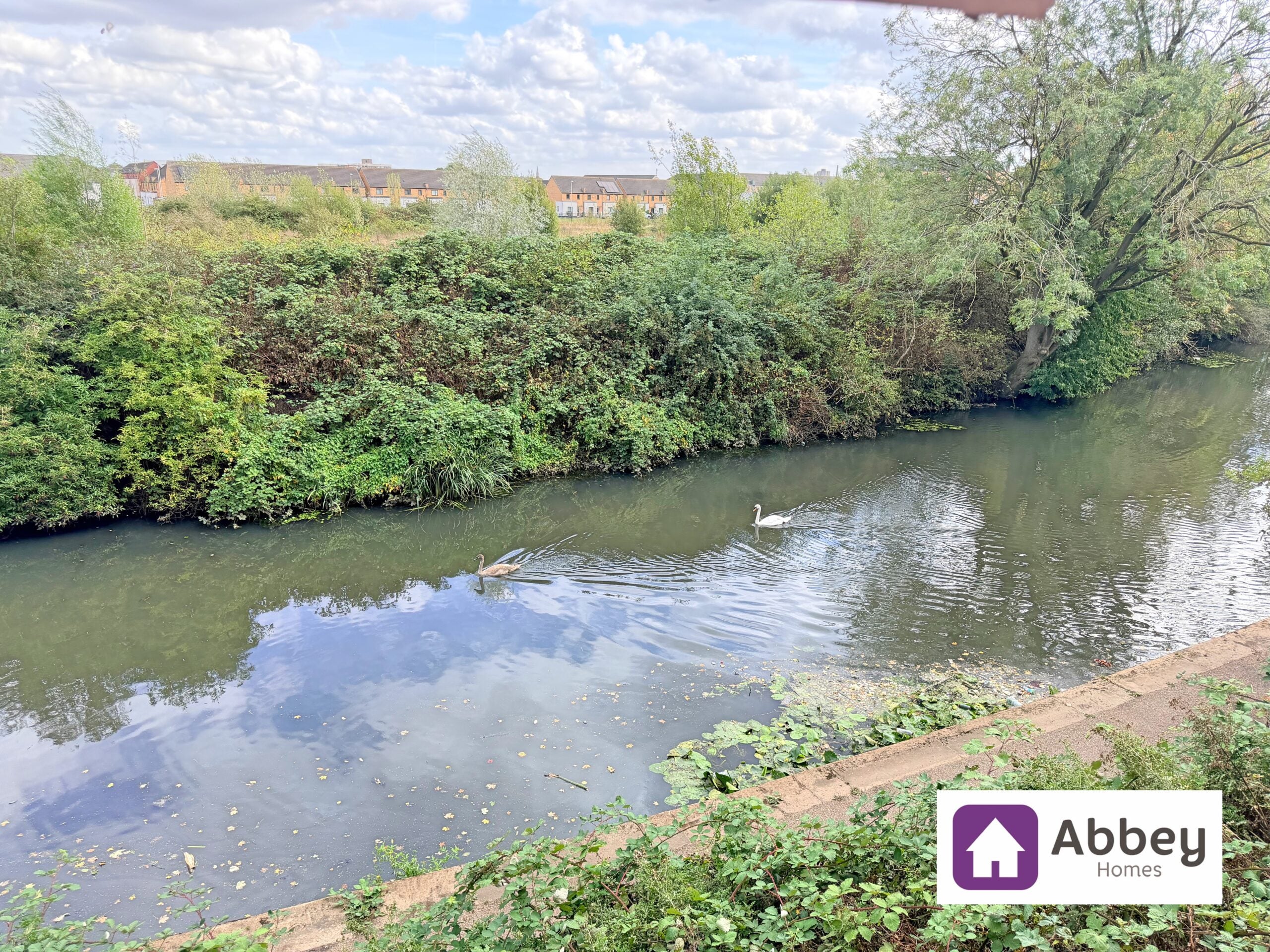 Flat Abbey Meadows in Leicester