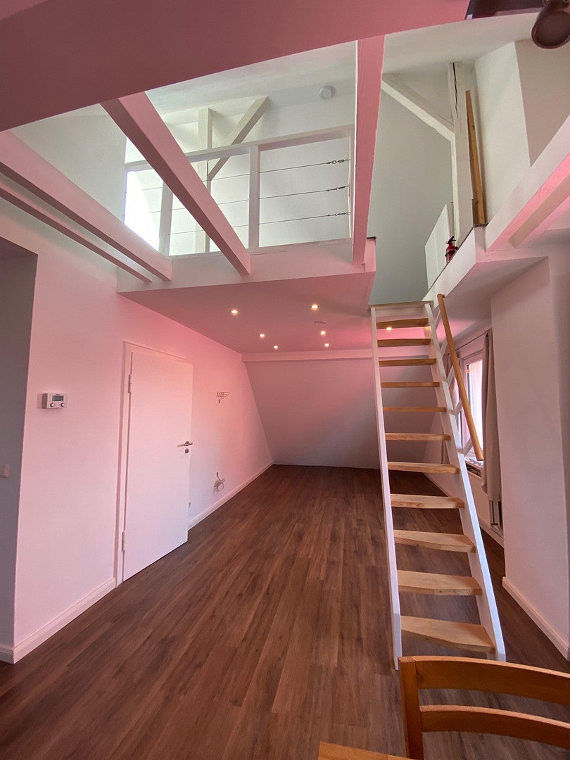 Wohnung Hedwigstraße in Braunschweig