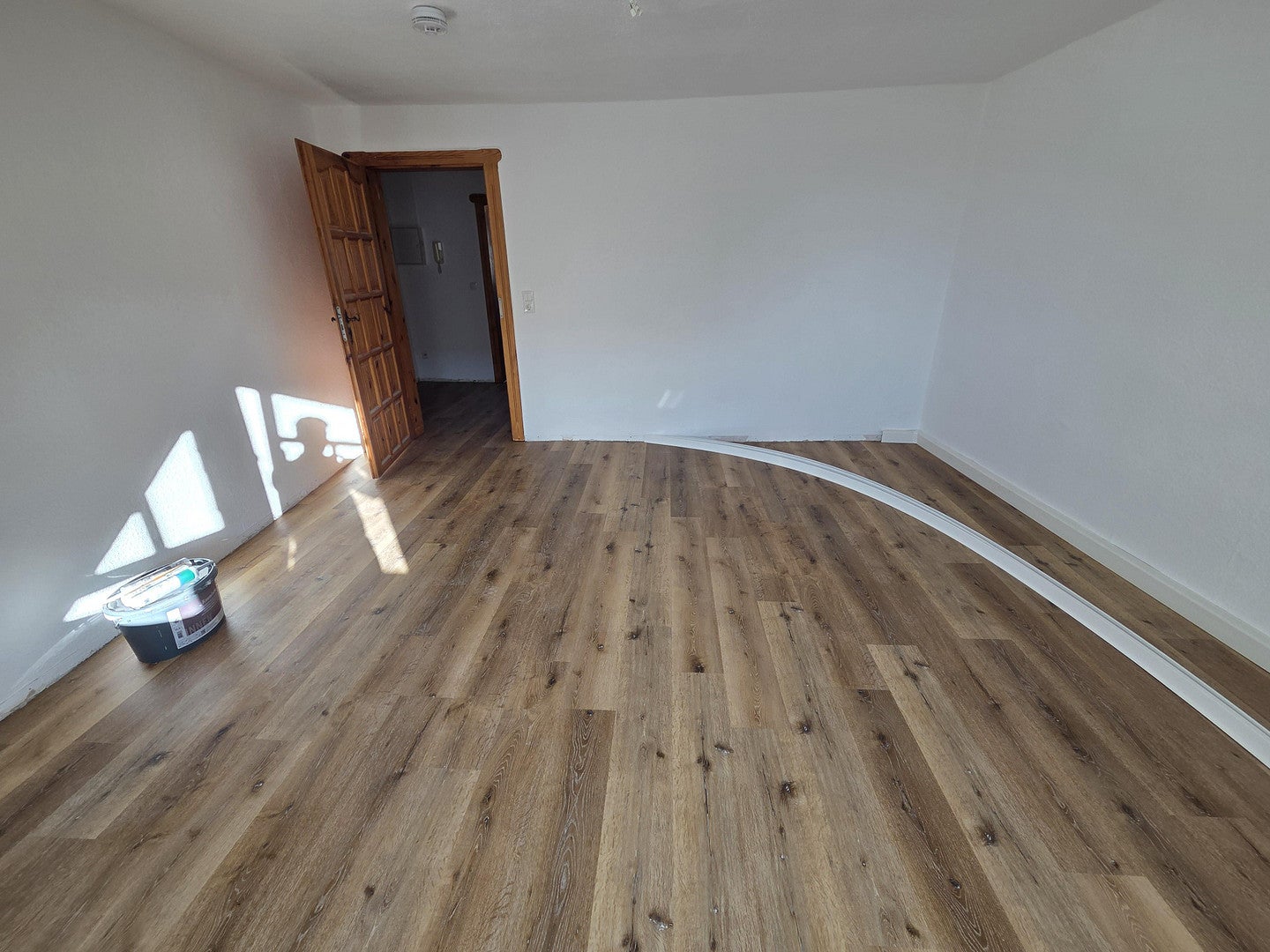Wohnung Alaunstraße in Dresden