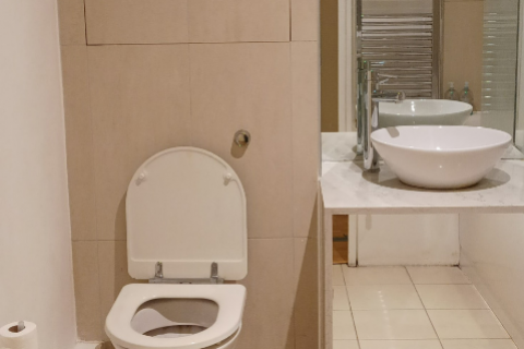 Flat Plumbers Row in London