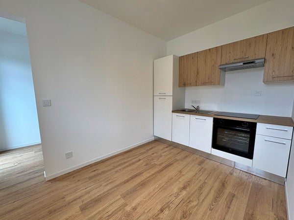 Flat Rue Lucien Sampaix in Roanne