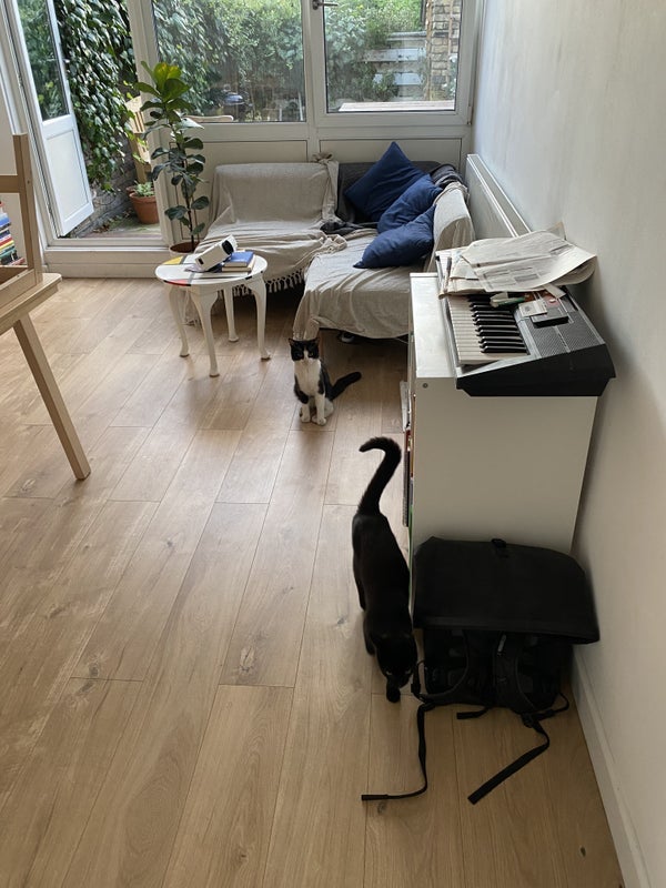 Room Paulet Road in Greater London