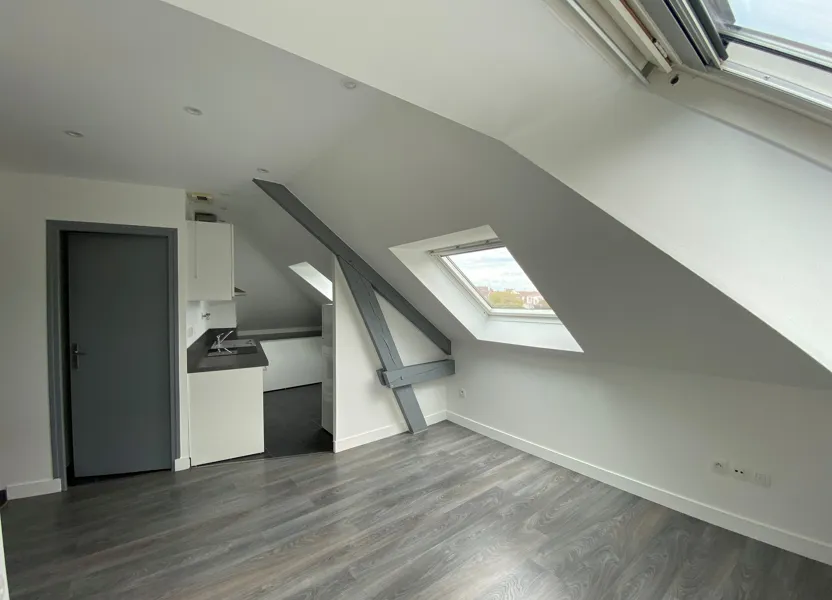 Appartement Rue du Docteur Fournier à Tours