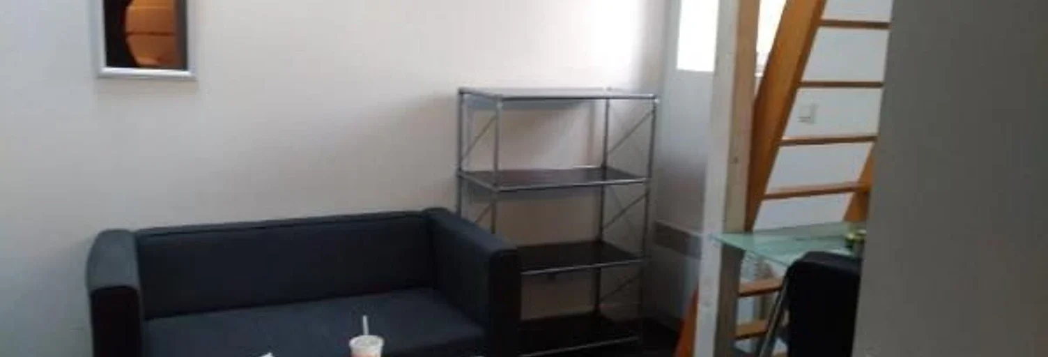Flat Rue de Turenne in Grenoble