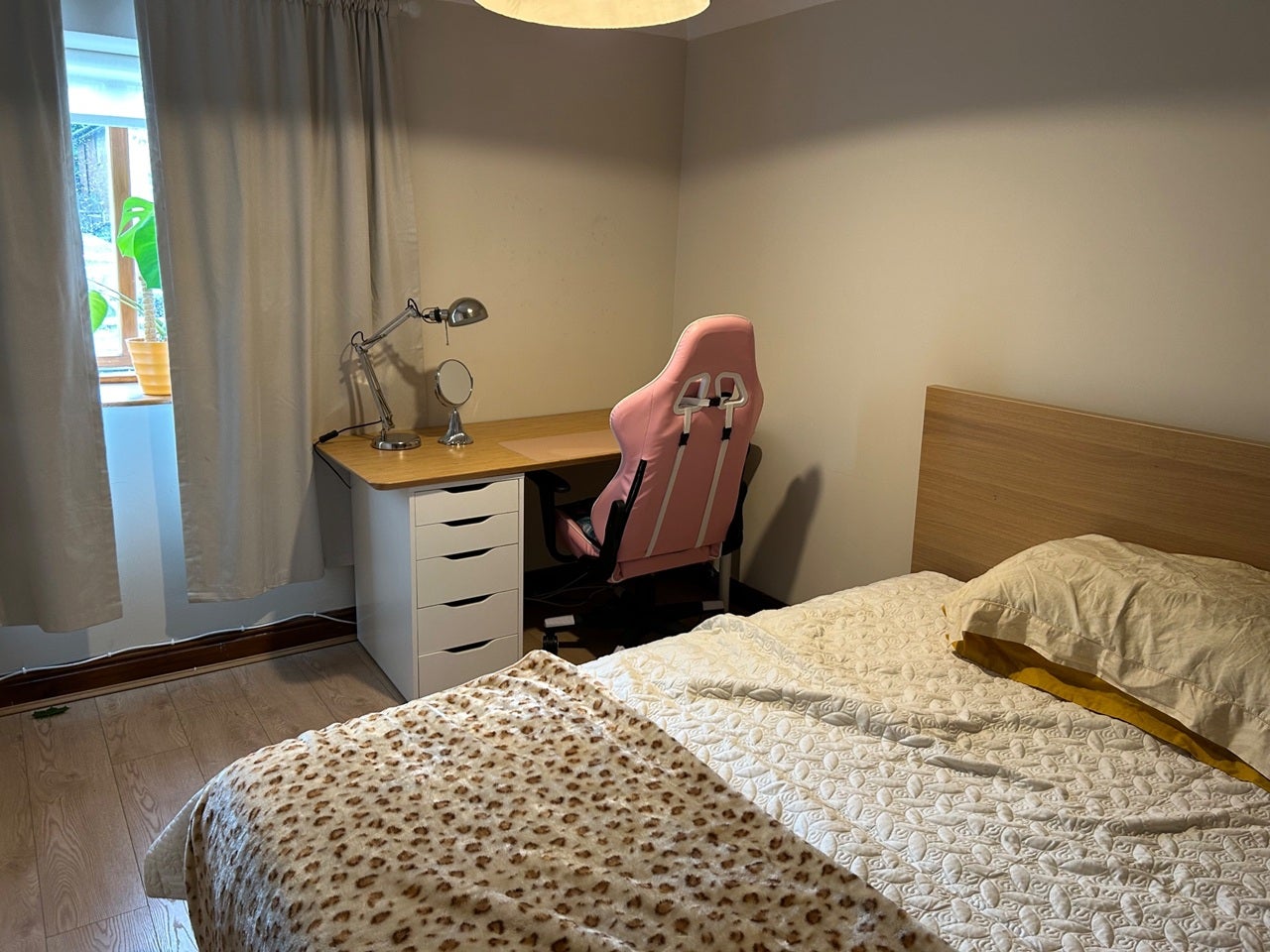 Room Coach Road in Rotherham