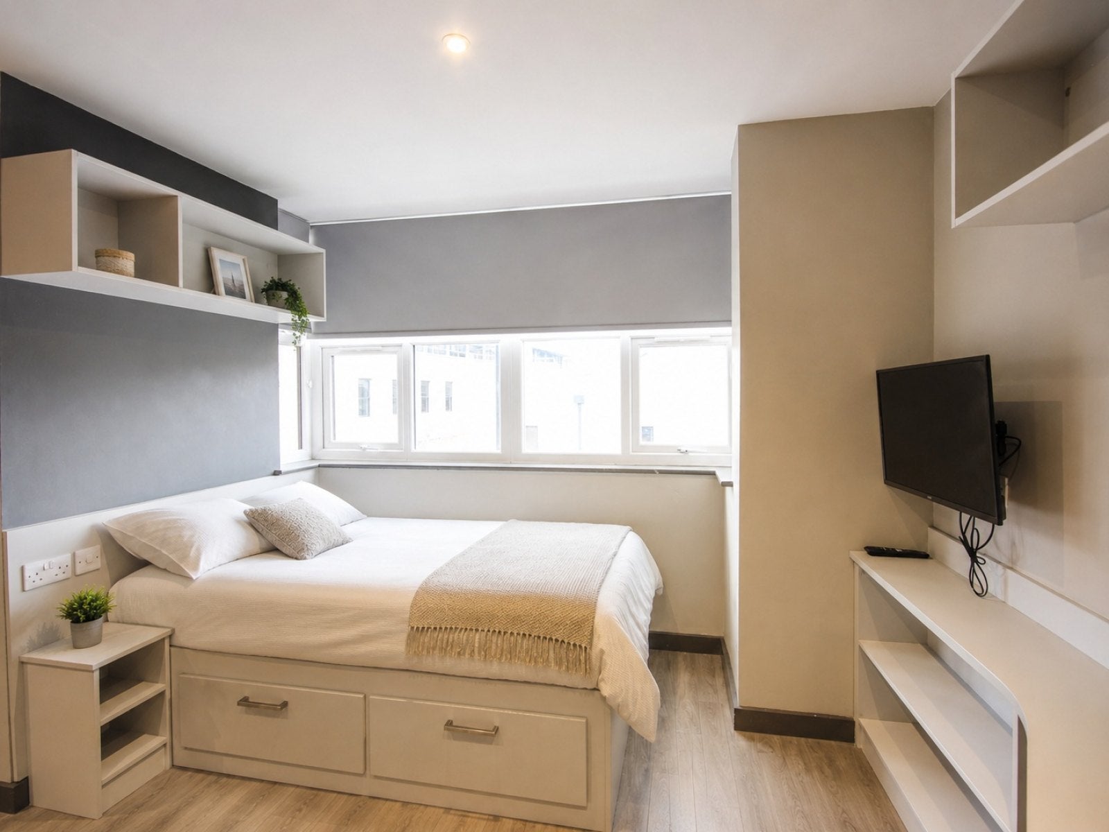 Room Falconar Street in Newcastle upon Tyne