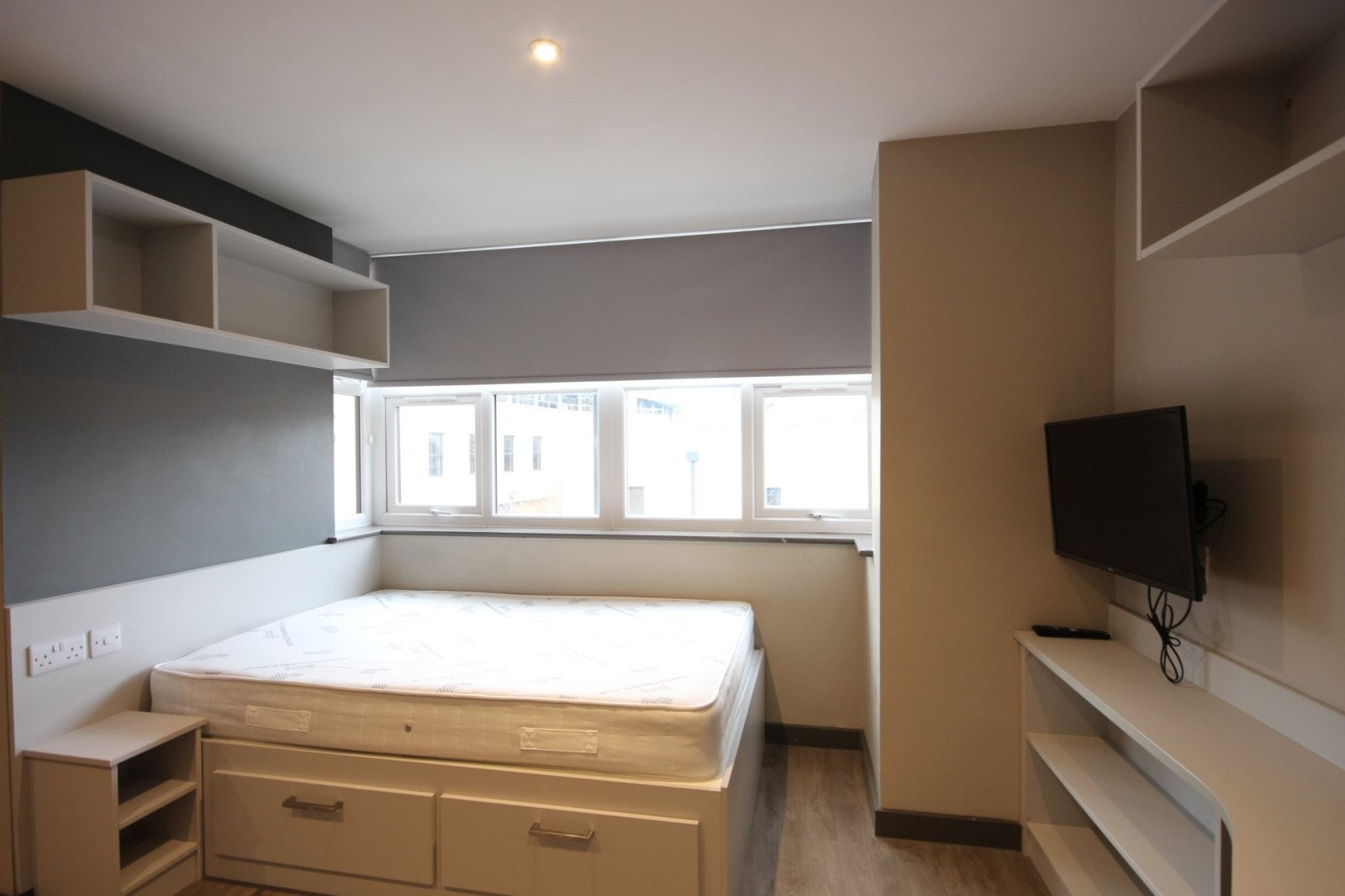 Room Falconar Street in Newcastle upon Tyne