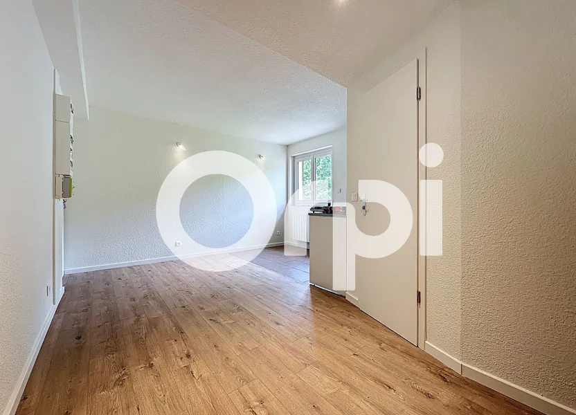 Appartement Impasse des Soldanelles à Viuz-en-Sallaz