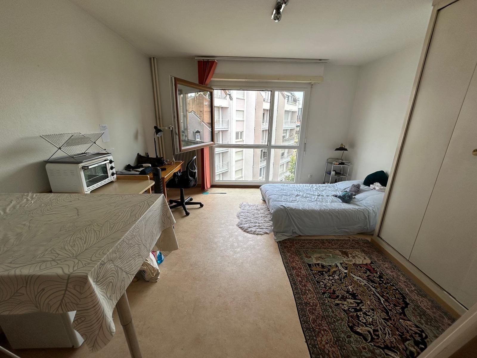 Flat Rue Paul Janet in Strasbourg