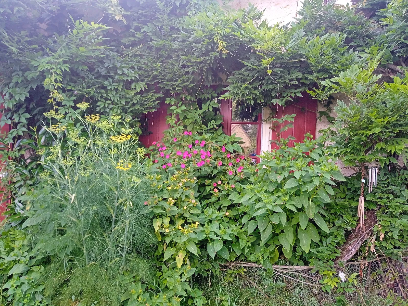 Room Rue du Bourg in Villedômain