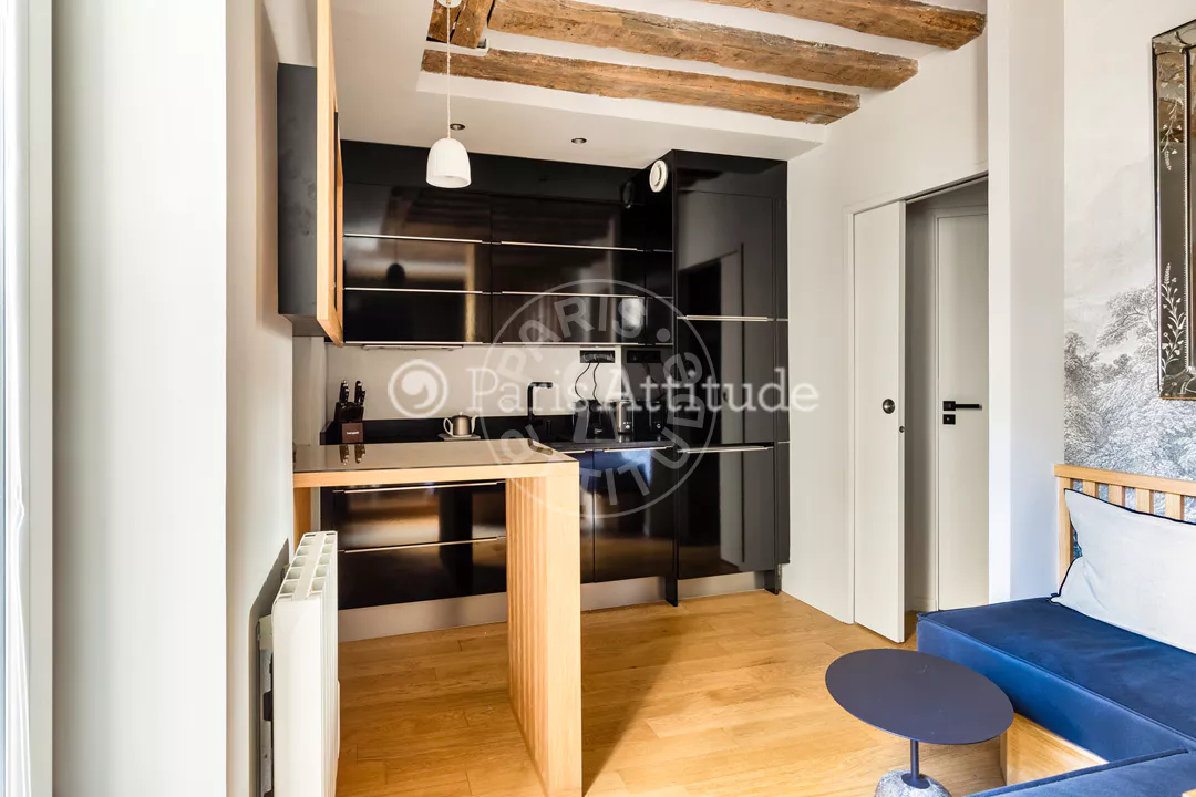 Flat Rue Dauphine in Paris
