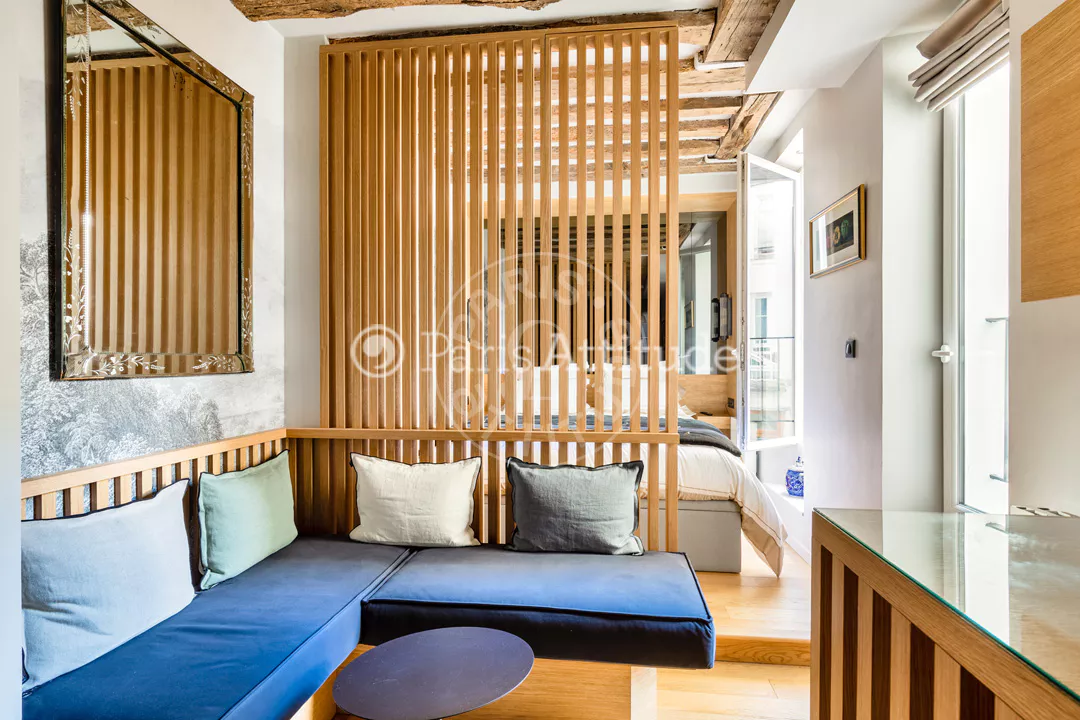 Flat Rue Dauphine in Paris